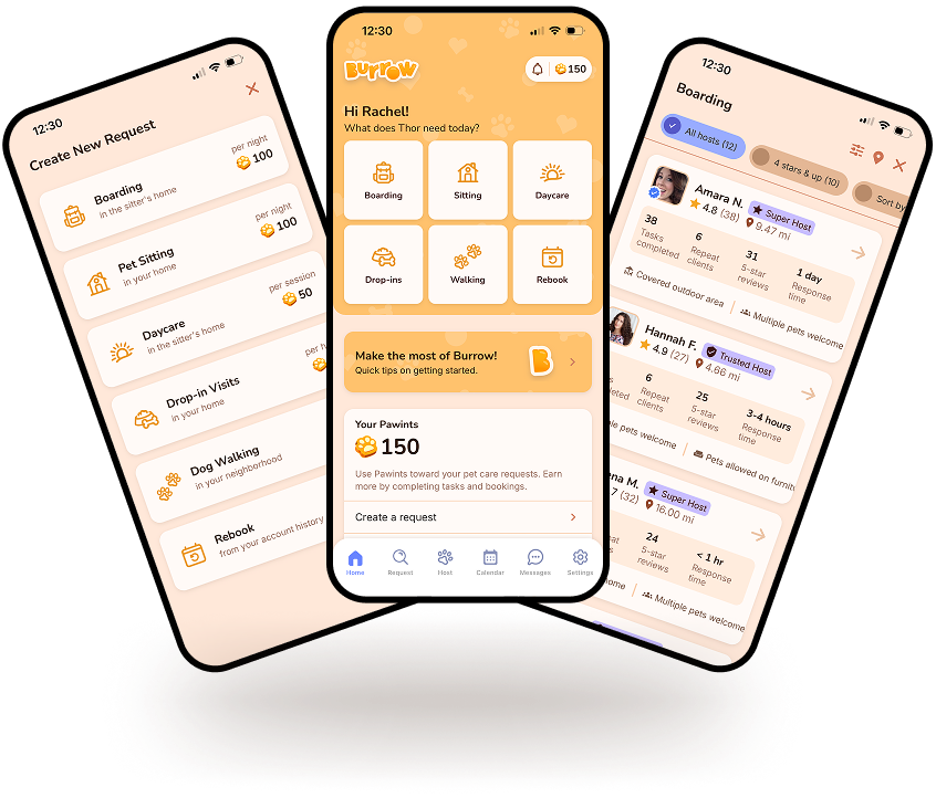 Burrow Pets app on three phones showing boarding, sitting, and dog walking