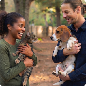 Pet parent walking dogs